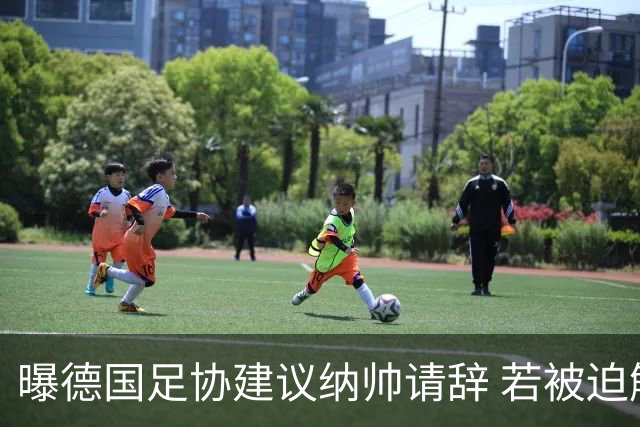 曝德国足协建议纳帅请辞 若被迫解雇将付七位数遣散费