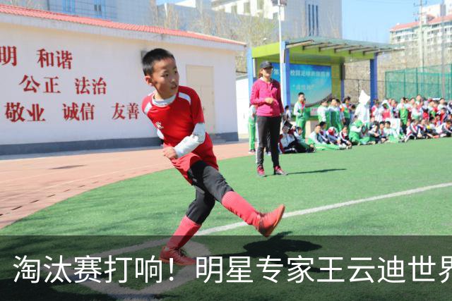 淘汰赛打响！明星专家王云迪世界杯7连红领衔红单